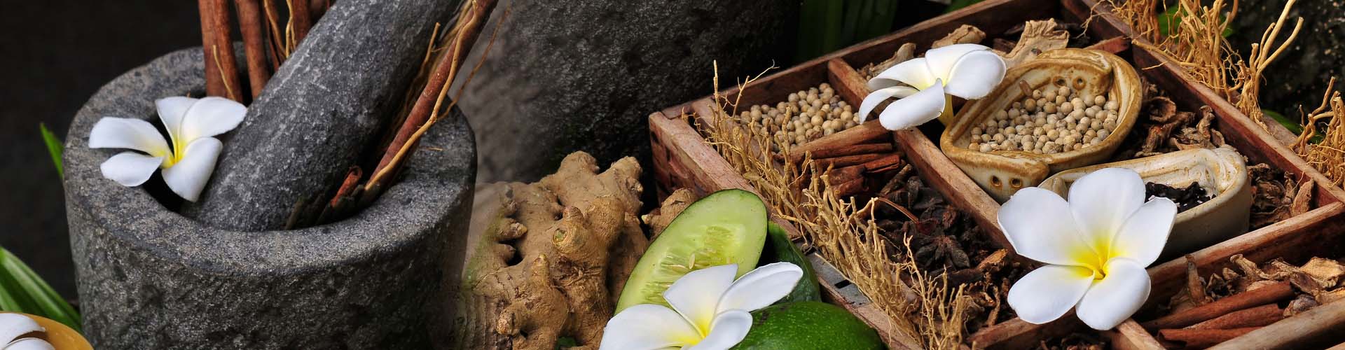 Nature Care Ayurveda